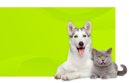 Picture for category Pet Health Products